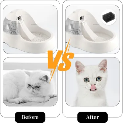 Filtre fontaine chat éponge filtrante carrée pour 2 5 L Filtre fontaine chat éponge filtrante carrée pour 2 5 L