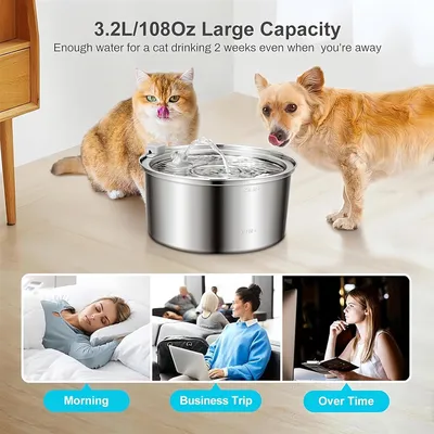 automatique animaux domestiques inoxydable filtration étapes design faible