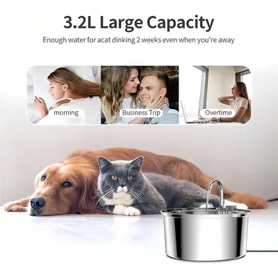 automatique animaux domestiques inoxydable filtration étapes design faible