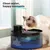 12 filtres fontaine eau chat 6 filtres 6 mousses distributeur eau sans fil 12 filtres fontaine eau chat 6 filtres 6 mousses distributeur eau sans fil