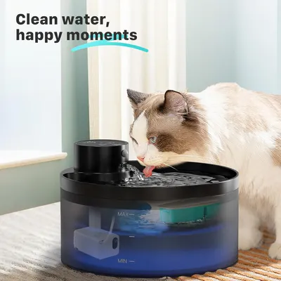 12 filtres fontaine eau chat 6 filtres 6 mousses distributeur eau sans fil 12 filtres fontaine eau chat 6 filtres 6 mousses distributeur eau sans fil