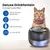 Deluxe Distributeur Silencieuse Noir Fontaine eau chat chien Fontaine eau Deluxe Distributeur Silencieuse Noir Fontaine eau chat chien Fontaine eau