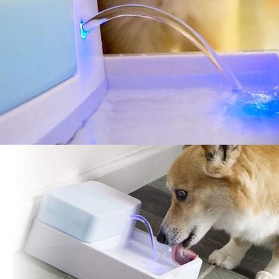 Lot 12 mousses rechange fontaine eau chat chien compatible acier céramique
