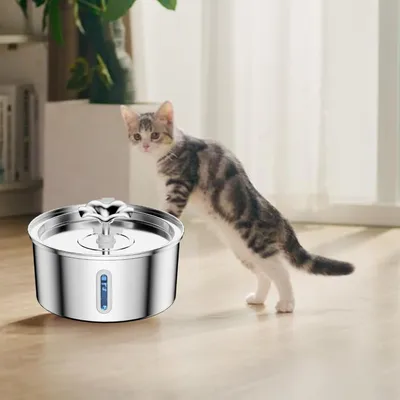 Distributeur électrique automatique 2,6 l animaux domestiques chats chiens Distributeur électrique automatique 2,6 l animaux domestiques chats chiens