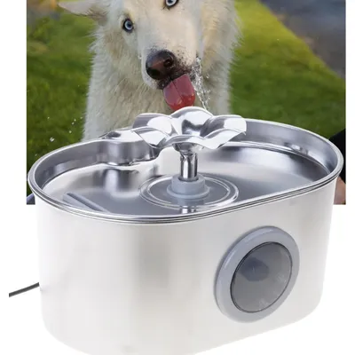 Distributeur électrique automatique 2,6 l animaux domestiques chats chiens Distributeur électrique automatique 2,6 l animaux domestiques chats chiens