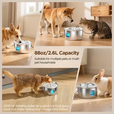 Chats 2.6L Silencieux Chats, Chiens Autres Animaux Compagnie Fontaine Eau