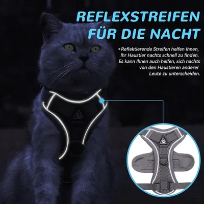 Harnais chat anti-éclatement avec laisse – Souple – Gris M