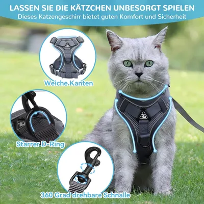 Harnais chat anti-éclatement avec laisse – Souple – Gris M