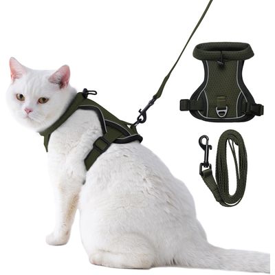 HausPets Laisse rétractable 26 ft pour grands chiens