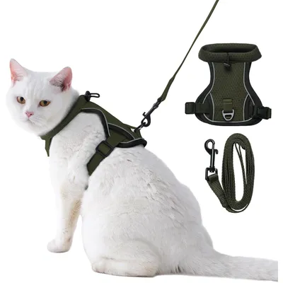 HausPets Laisse rétractable 26 ft pour grands chiens HausPets Laisse rétractable 26 ft pour grands chiens