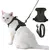HausPets Laisse rétractable 26 ft pour grands chiens HausPets Laisse rétractable 26 ft pour grands chiens