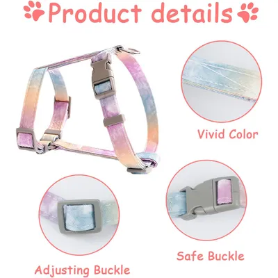 HausPets Épilateur domestique réutilisable poils