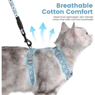 HausPets Harnais+Laisse chat S bleu 145cm