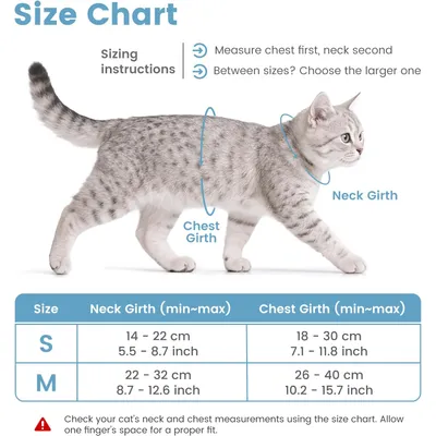 HausPets Harnais+Laisse chat S bleu 145cm