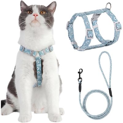 HausPets Harnais+Laisse chat S bleu 145cm