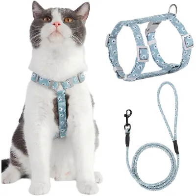 HausPets Harnais+Laisse chat S bleu 145cm