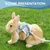 HausPets Harnais Lapin Ours, Laisse Réglable Respirante Bleu S