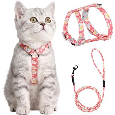 HausPets Harnais+Laisse chat S rose 145cm
