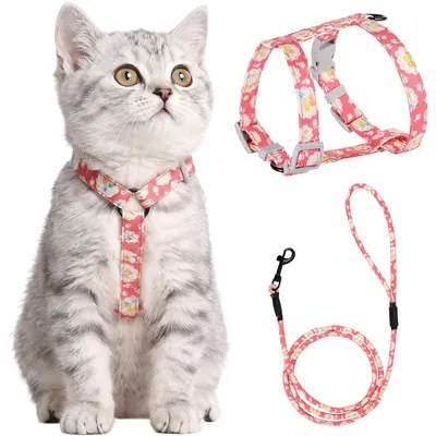 HausPets Harnais+Laisse chat S rose 145cm