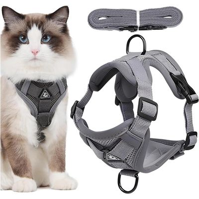 HausPets Laisse façon croco blanche 20mm