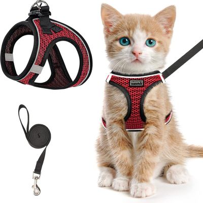 HausPets Laisse cuir Dexter 2m mousqueton laiton