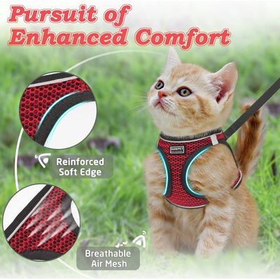 HausPets Laisse cuir Dexter 2m mousqueton laiton