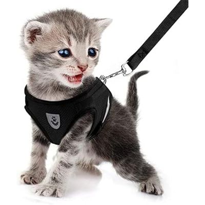 Ausbruchsicheres Geschirr für Katzen und Welpen, verstellbar,atmungsaktiv