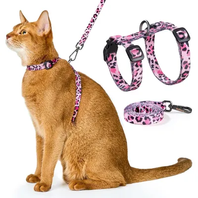 HausPets Laisse chiot arc-en-ciel 1,8m robuste