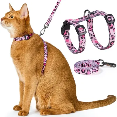 HausPets Laisse chiot arc-en-ciel 1,8m robuste