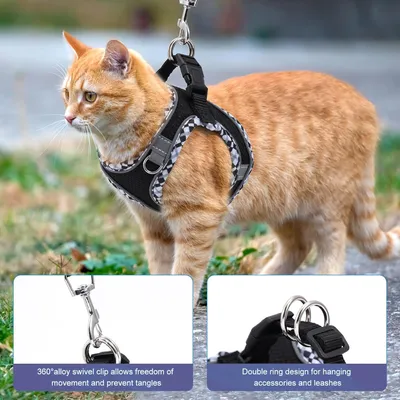 HausPets Harnais chat noir XXS anti-évasion