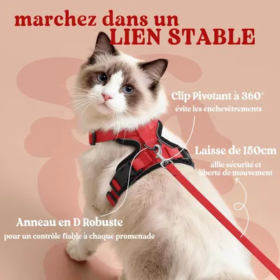 HausPets Verstellbares Geschirr für Katze und Kaninchen rot XS HausPets Verstellbares Geschirr für Katze und Kaninchen rot XS