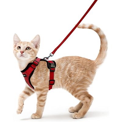 HausPets Verstellbares Geschirr für Katze und Kaninchen rot XS