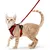 HausPets Verstellbares Geschirr für Katze und Kaninchen rot XS HausPets Verstellbares Geschirr für Katze und Kaninchen rot XS