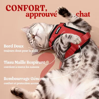 HausPets Verstellbares Geschirr für Katze und Kaninchen rot XS HausPets Verstellbares Geschirr für Katze und Kaninchen rot XS