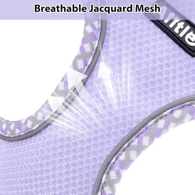 HausPets Harnais anti-traction chiot/chat violet XS