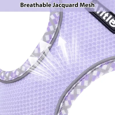 HausPets Harnais anti-traction chiot/chat violet XS