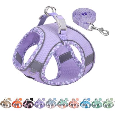 HausPets Harnais anti-traction chiot/chat violet XS