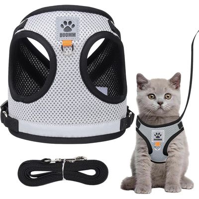 HausPets Harnais chat rose ajustable toutes tailles