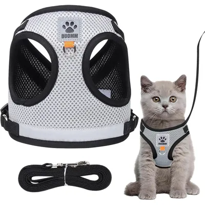 HausPets Harnais chat rose ajustable toutes tailles