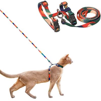 HausPets Harnais chat anti-fuite léger doux