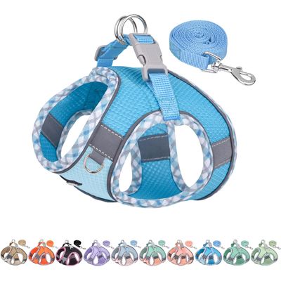 HausPets Harnais anti-traction chiot/chat bleu XS