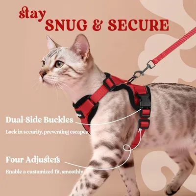 Harnais chat anti-évasion rouge XXS – Réfléchissant – Pour chaton