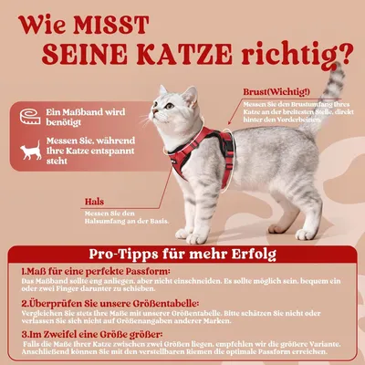 Harnais chat anti-évasion rouge XXS – Réfléchissant – Pour chaton