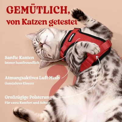 Harnais chat anti-évasion rouge XXS – Réfléchissant – Pour chaton