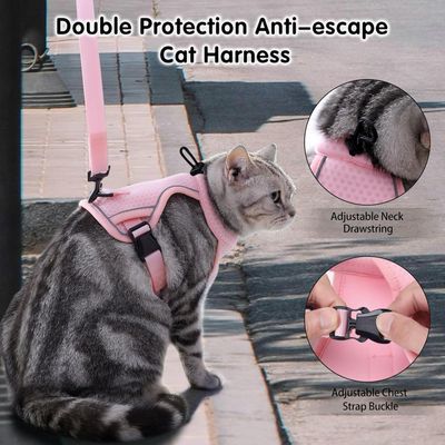HausPets Laisse chien réfléchissante 1,5m rose