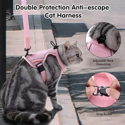 HausPets Laisse chien réfléchissante 1,5m rose HausPets Laisse chien réfléchissante 1,5m rose