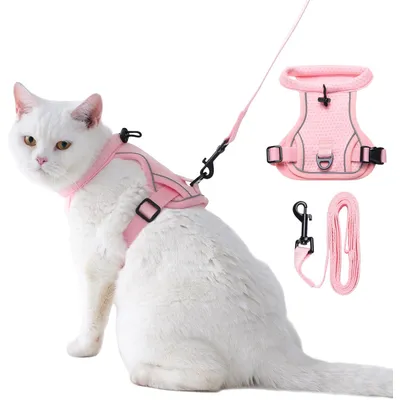 HausPets Laisse chien réfléchissante 1,5m rose HausPets Laisse chien réfléchissante 1,5m rose