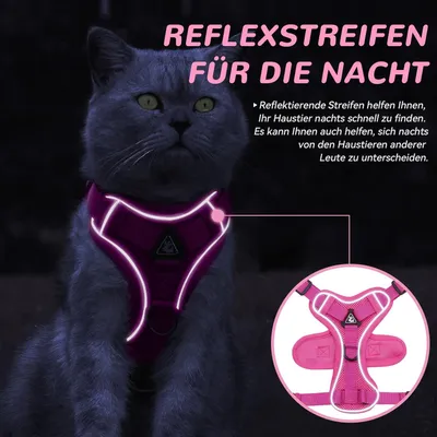 Harnais chat anti-éclatement avec laisse – Souple – Rose M