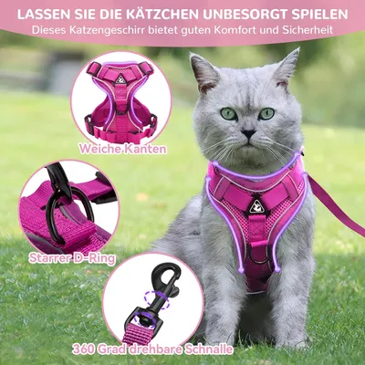 Harnais chat anti-éclatement avec laisse – Souple – Rose M