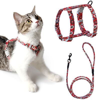 HausPets Harnais+Laisse chat S rouge 145cm